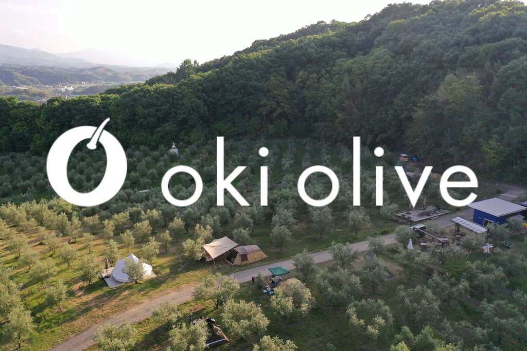 オリーブの木　超特大フリーカット　車でおでかけうれしな～　約49cm キャンプサイト oki olive｜スポット・体験｜香川県観光協会公式サイト