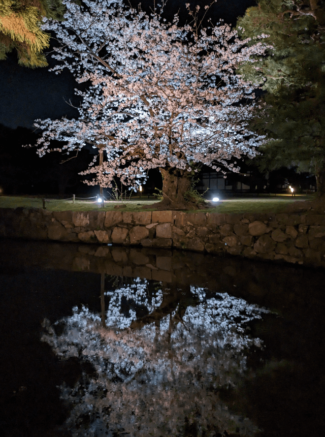 Ritsurin Garden Spring Illumination 01