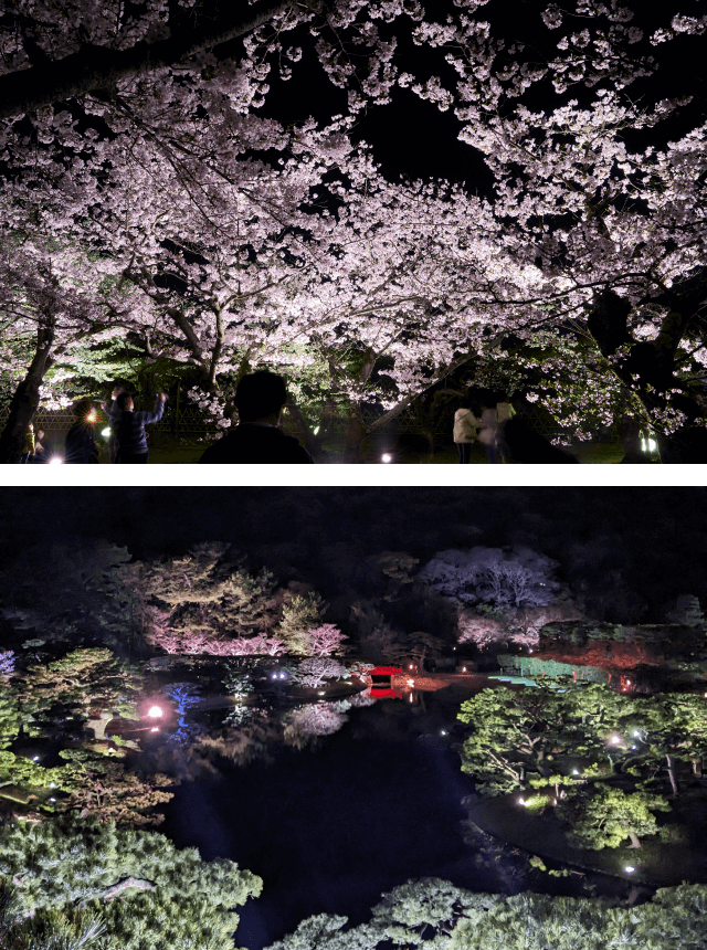 Ritsurin Garden Spring Illumination 03