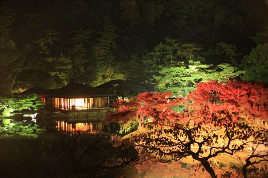 ritsurin garden autumn light up