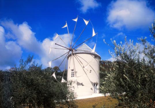 shodoshima olive park