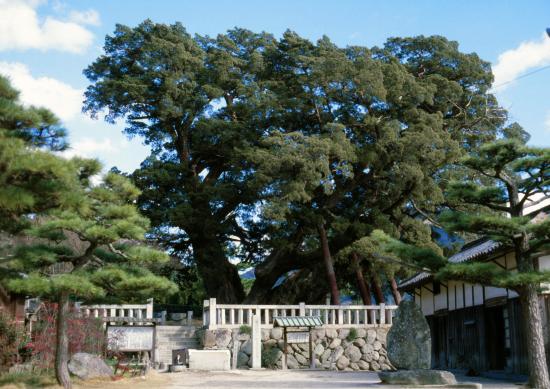 hoshoin temple