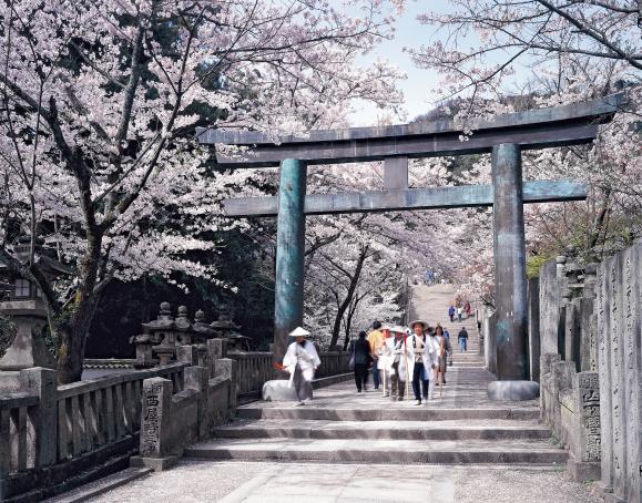 kotohiragu shrine sakurano-baba