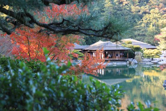 ritsurin garden autumn leaves