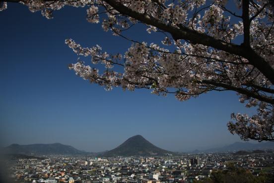 view of sanuki plain from marugame-jo castle