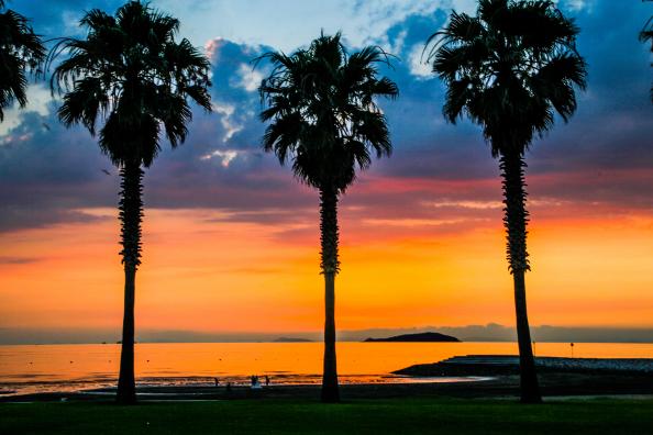 ichinomiya park sunset