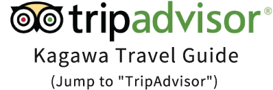 trip advisor