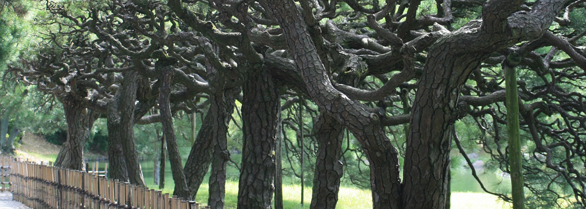 Le jardin de Ritsurin