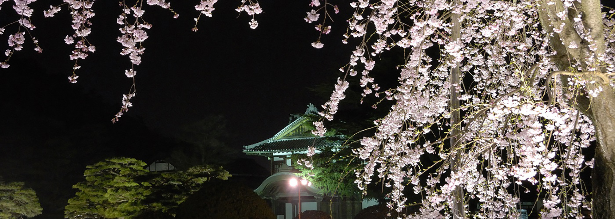 Le jardin de Ritsurin