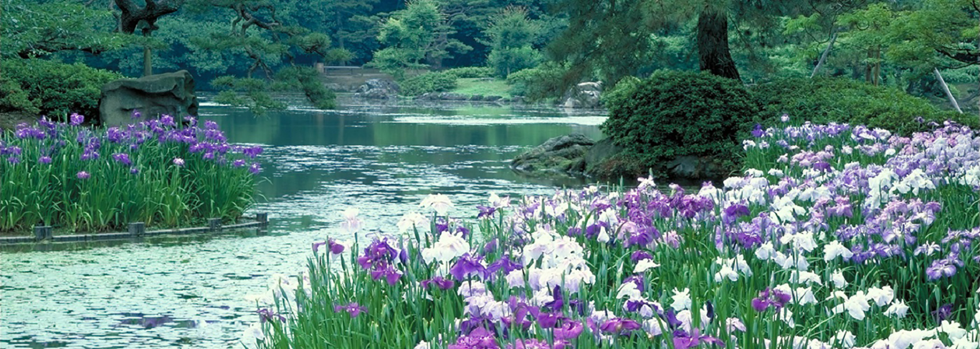 Le jardin de Ritsurin