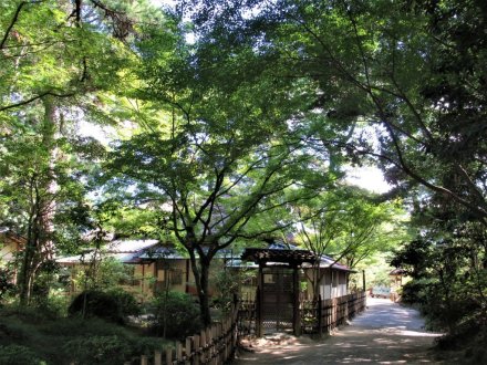 10月20日 紅葉の状況