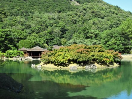 10月20日 紅葉の状況