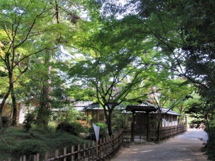 10月29日 紅葉の状況