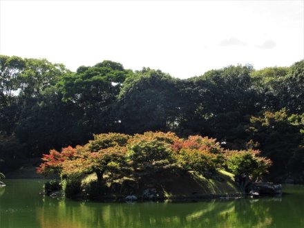 10月29日 紅葉の状況