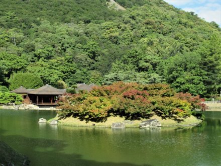 10月29日 紅葉の状況