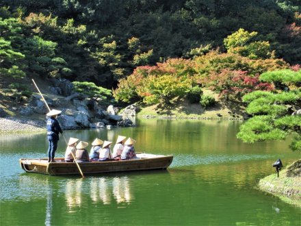 10月29日 紅葉の状況