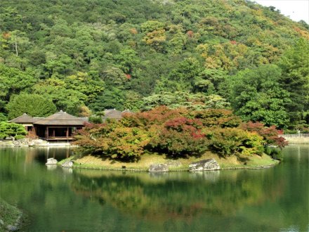 11月4日 紅葉の状況