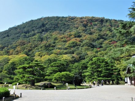 11月4日 紅葉の状況