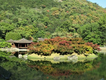 11月9日 紅葉の状況