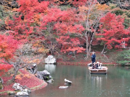 紅葉の見頃は終わりました