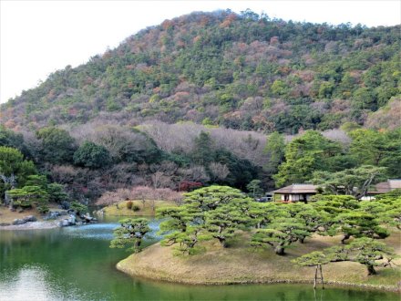 花がなくとも美しい