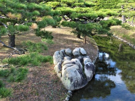 花がなくとも美しい