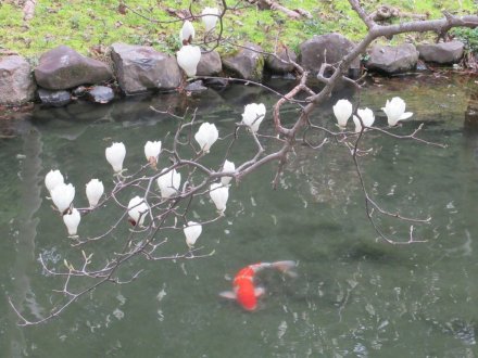 春分