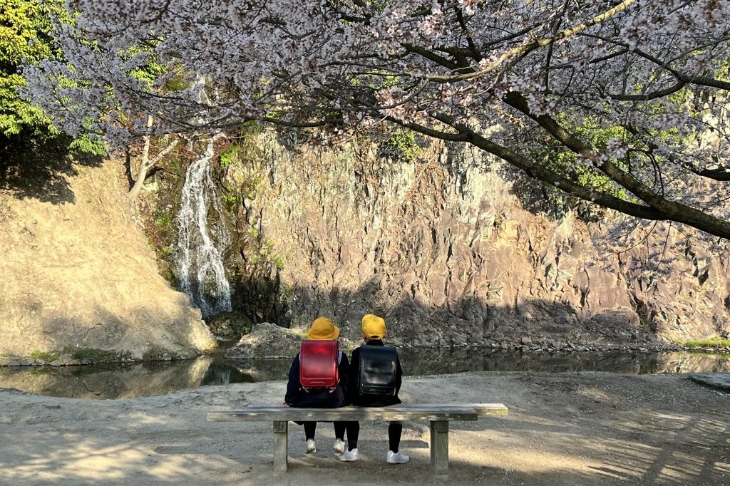 見頃の花々