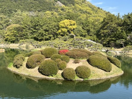 見頃の花々（４月４日）