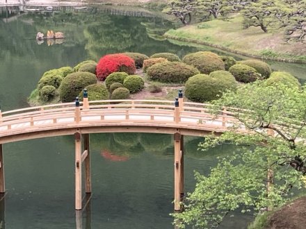 キリシマツツジと、見頃の花々（2023.4.19）