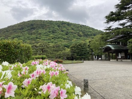 商工奨励館前のツツジと、見頃の花々（４月２５日）