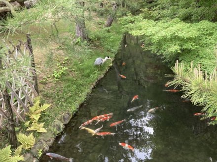 商工奨励館前のツツジと、見頃の花々（４月２５日）