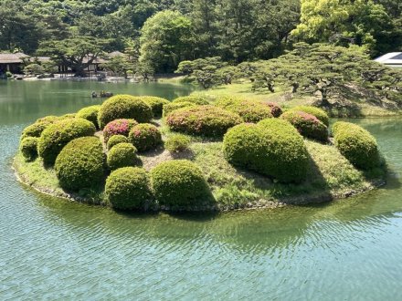 カキツバタと見頃の花々（2023.5.10）