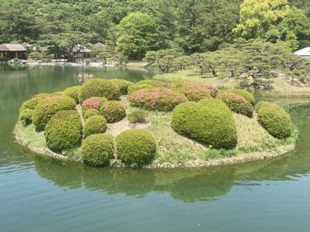 スイレンと、見頃の花々（５月１２日）