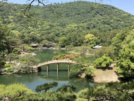 サツキツツジと、見頃の花々　（ウツギ満開）（５月１６日）