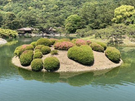 サツキツツジと、見頃の花々　（ウツギ満開）（2023.5.15）