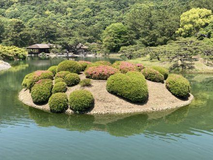 サツキツツジと、見頃の花々　（ウツギ満開）（５月１６日）