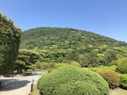 サツキツツジと、見頃の花々　（ウツギ満開）（５月１６日）