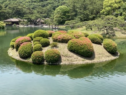 ラッキーなスイレンと、見頃の花々（2023.5.22）