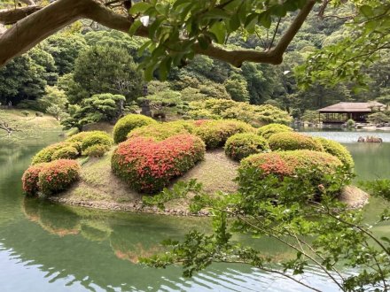 竹の花と見頃の花々（2023.5.25）
