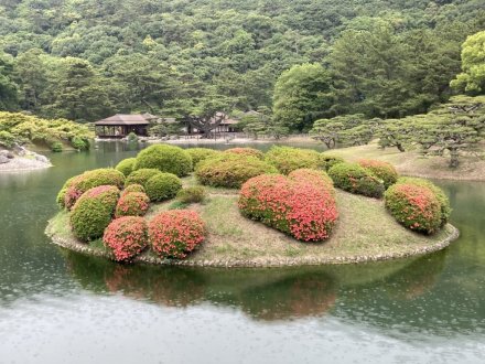 恋ツツジと、見頃の花々（2023.5.29）
