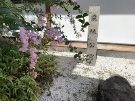 見頃の花々（2023.8.25）