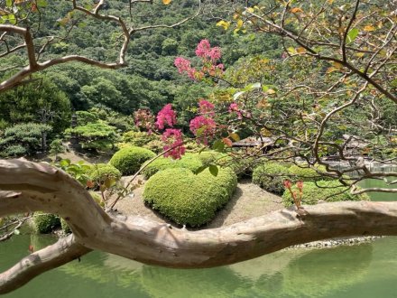 見頃の花々（2023.8.25）