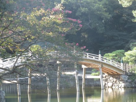 ハギの様子（９月２８日）