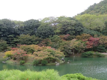 紅葉　色づき始め（2023.11.13）