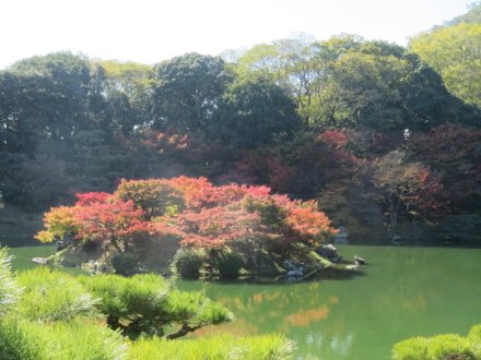 紅葉　６割程度（１１月２１日）