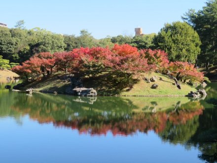 紅葉　６割程度（１１月２１日）