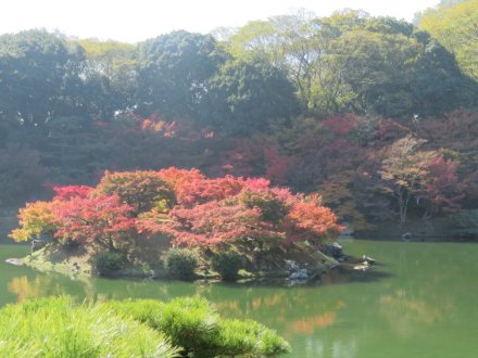 紅葉　見頃（2023.11.22）