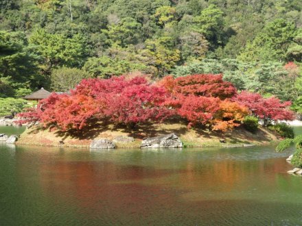 紅葉　見頃（2023.11.28）
