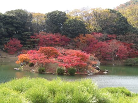 紅葉　見頃（2023.11.30）
